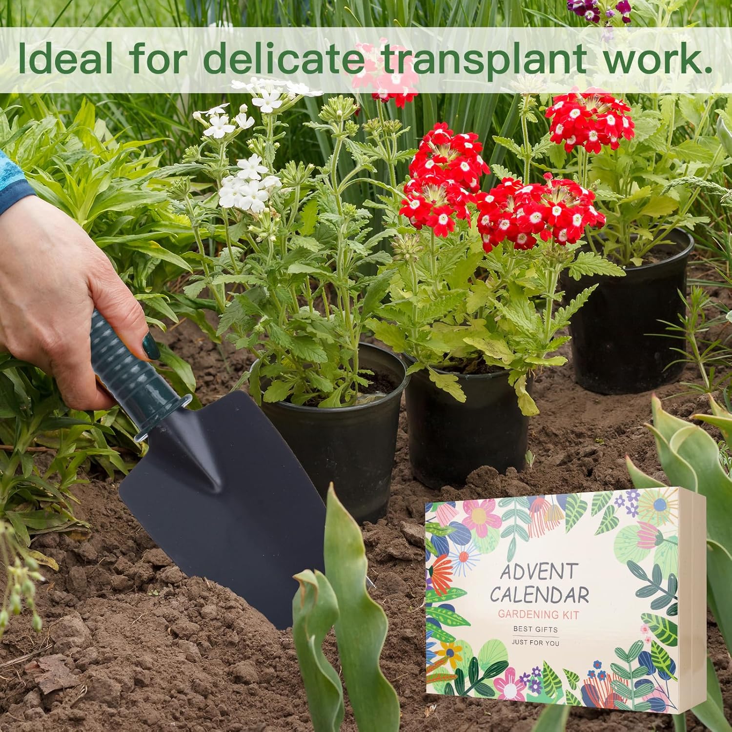 Gardening Advent Calendar – 24 Days of Surprises for Plant Lovers